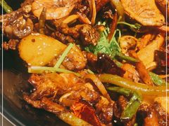 -食乐佳麻辣香锅(森林摩尔商业街区店)
