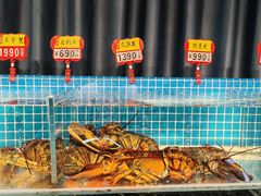 -韩记海鲜饺子旗舰店(红海新区店)
