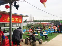 -小鱼草莓采摘园农家乐·小鱼餐厅