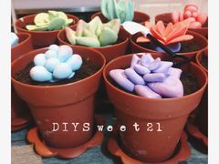 -DIY SWEET21(升平路店)