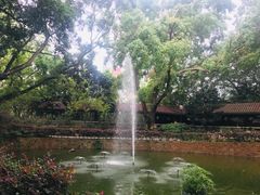 -九龙公园