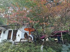 -润泽天·湘味家宴(岳麓山店)