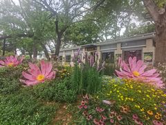 -云溪植物园