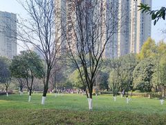 -龙头寺公园