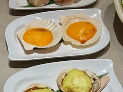 -水木锦堂·自助铁板烧(望京凯德MALL店)