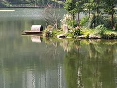 -重庆彩云湖湿地公园
