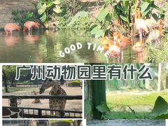 -广州动物园