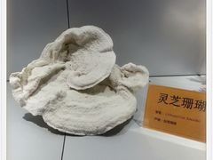 科普区-福州罗源湾海洋世界旅游区