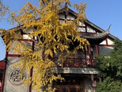 -龙潭水乡