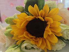 -钱记·乡野菜(紫荆花路店)