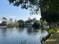 -荔湾湖公园