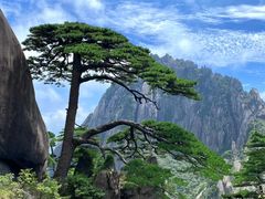 -黄山风景区