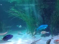 -沈阳海洋探索中心