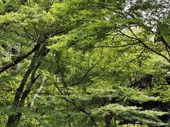 -三千院