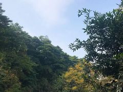 -火炉山森林公园