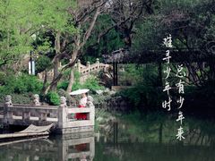 -上海醉白池公园