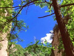 -碓臼峪自然风景区