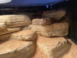 -Zoolung Zoolung动物主题公园(海信广场店)