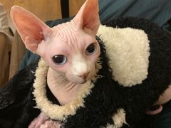 奶茶！！！-猫友咖啡店(玉林西路店)