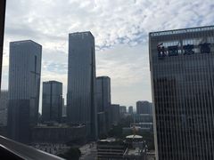 -深圳湾科技园丽雅查尔顿酒店