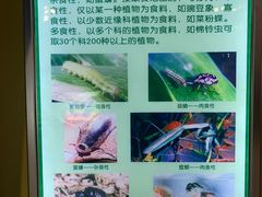-上海昆虫博物馆