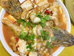 -煲来饱去冷水鱼