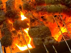 -老广烧烤(骆驼山康馨园店)