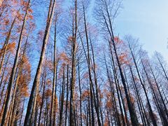 -山王坪喀斯特国家生态公园