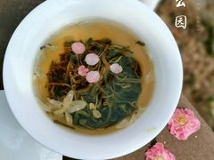-望江楼公园