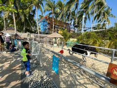 -三亚亚龙湾天域度假酒店