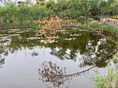 -绿堤公园