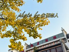 -樽宴酒楼·地道川菜·品质宴请