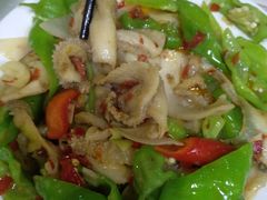 -煲来饱去冷水鱼