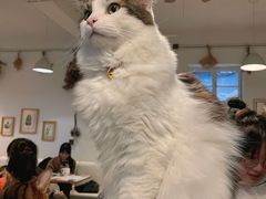 -小时光咖啡馆(北锣鼓巷店)
