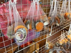 -蓝湾碧波·老字号·疍家非遗海上餐厅