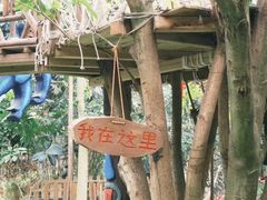 -呀路古热带植物园