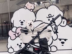 -Seesaw Coffee(上生新所店)