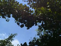 android_upload_pic-旺山景区