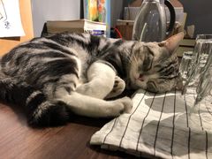 -咖法森林·咖啡  酒吧(天河店)