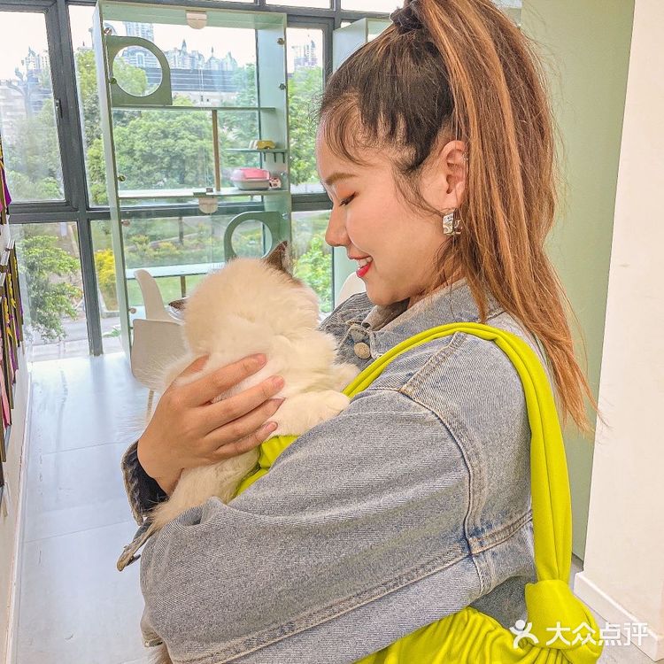 🦀️成都｜明星同款宠物店❗️毛孩子的快乐星球