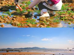 -兴城海滨风景区