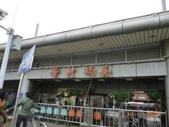 -长洲渡车船码头