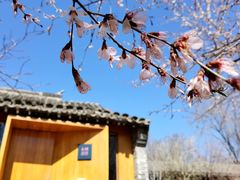 -三里河公园