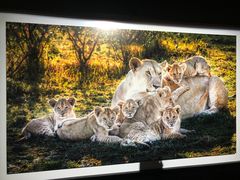 -罗红摄影艺术馆