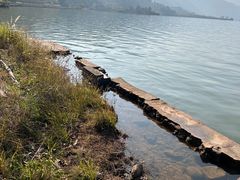 -西昌邛海湿地