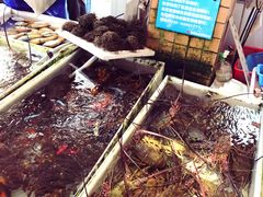 -大湾区中央湿地公园-十九涌