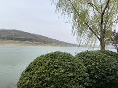 -羊山湖公园