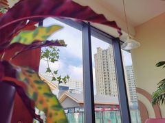 -丘中有甜(乐清·江南里店)