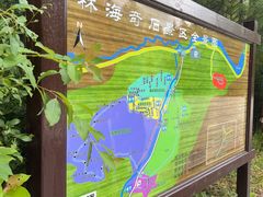 -汤旺河林海奇石景区