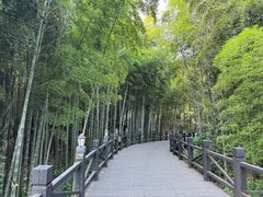 -树山生态村